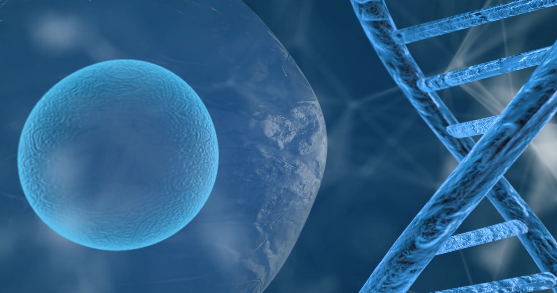 humane genome